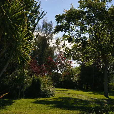 Otel Kora Park